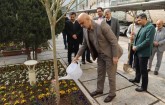 کاشت یک اصله درخت توسط مدیرعامل شرکت ملی مس ایران