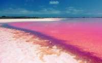 	دریاچه سالینا د تربیخا دراسپانیا، است که رنگ صورتی به علت یک نوع از جلبک ها صورتی رنگ است