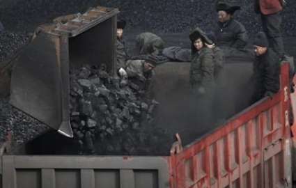 ناکامی ارز مبادله‌ای در واردات زغال‌سنگ