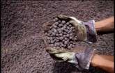 India to sell high-grade iron pellets to Iran as ties strengthen