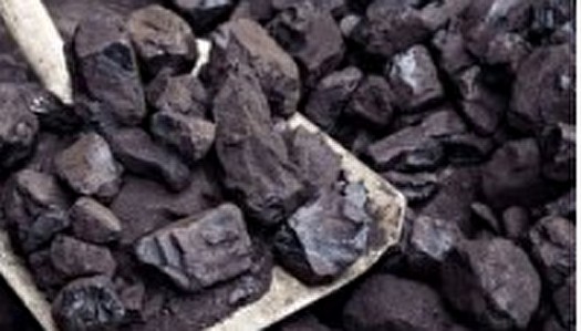 زغال سنگی‌ها در مسیر توسعه قدم بردارند