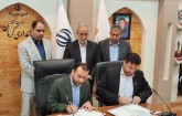امضایی برای تکمیل زنجیره تولید تا بازار طلا در کرمان